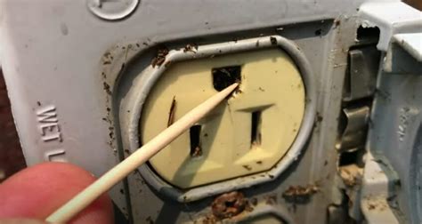 how to prevent bugs from electrical outlets